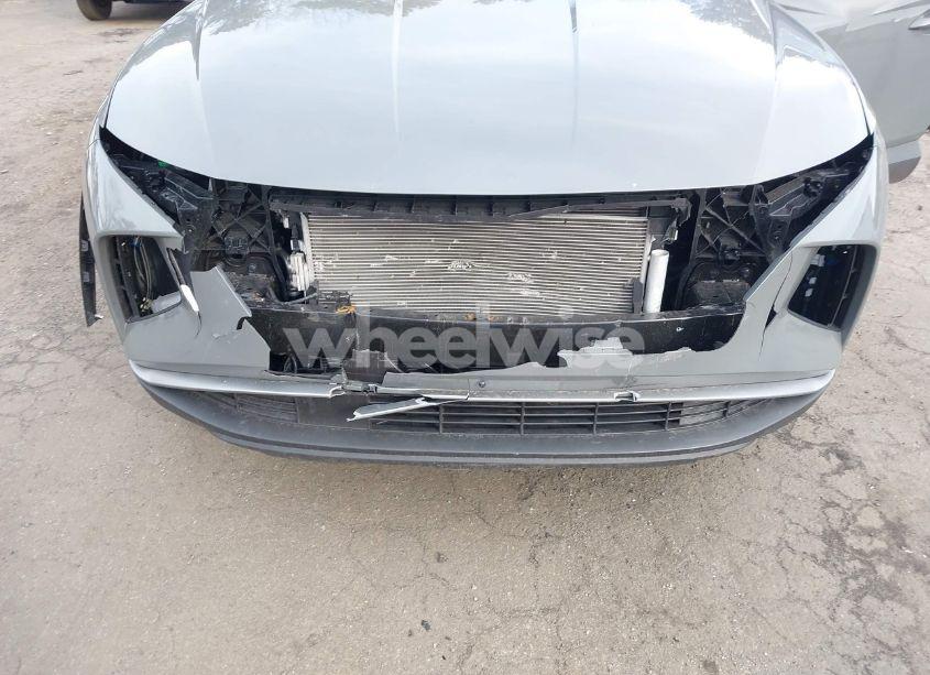 Photo 6 of 2024 Hyundai Tucson SEL (VIN 5NMJBCDE6RH335167)