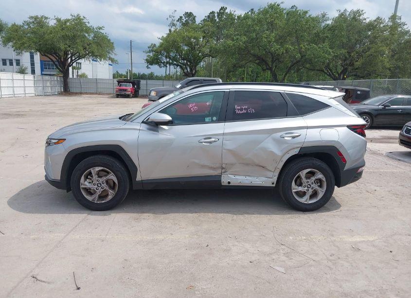 Photo 14 of 2024 Hyundai Tucson SEL (VIN 5NMJBCDE6RH344290)