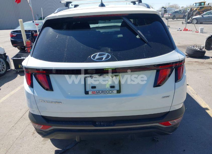 Photo 17 of 2024 Hyundai Tucson SEL (VIN 5NMJBCDE6RH370615)