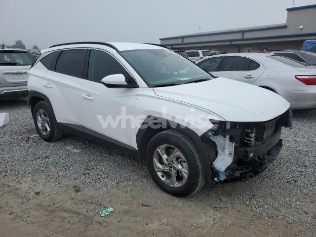 2024 HYUNDAI TUCSON SEL (VIN 5NMJBCDE6RH386362) main photo