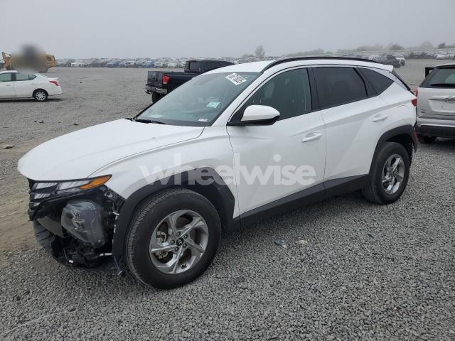 Photo 10 of 2024 HYUNDAI TUCSON SEL (VIN 5NMJBCDE6RH386362)