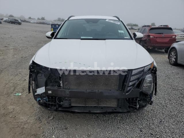 Photo 13 of 2024 HYUNDAI TUCSON SEL (VIN 5NMJBCDE6RH386362)