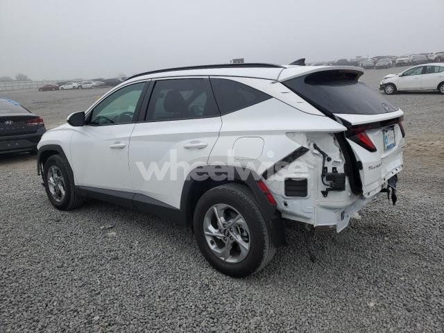 Photo 2 of 2024 HYUNDAI TUCSON SEL (VIN 5NMJBCDE6RH386362)