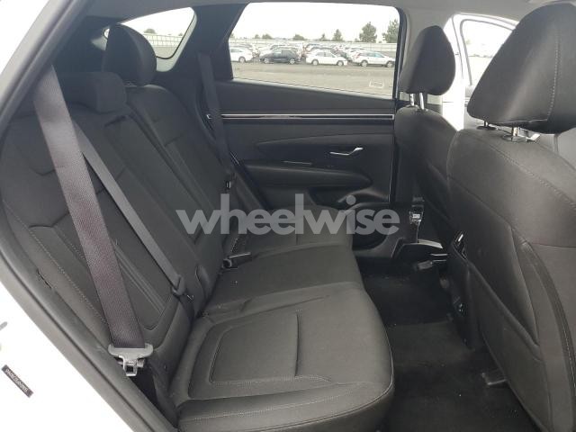 Photo 11 of 2024 HYUNDAI TUCSON SEL (VIN 5NMJBCDE6RH398155)