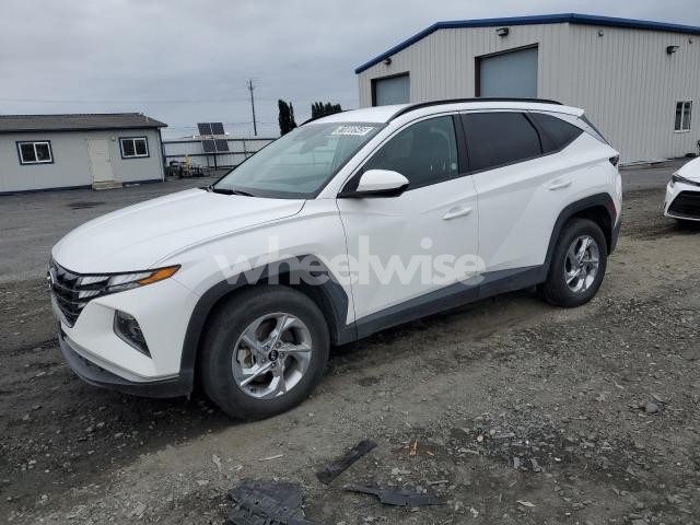 Photo 12 of 2024 HYUNDAI TUCSON SEL (VIN 5NMJBCDE6RH398155)