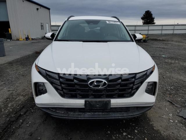 Photo 13 of 2024 HYUNDAI TUCSON SEL (VIN 5NMJBCDE6RH398155)