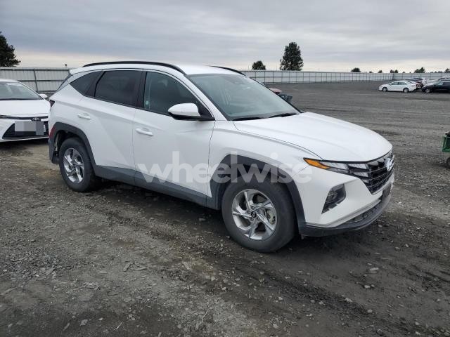 Photo 2 of 2024 HYUNDAI TUCSON SEL (VIN 5NMJBCDE6RH398155)