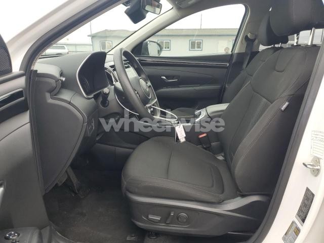 Photo 3 of 2024 HYUNDAI TUCSON SEL (VIN 5NMJBCDE6RH398155)