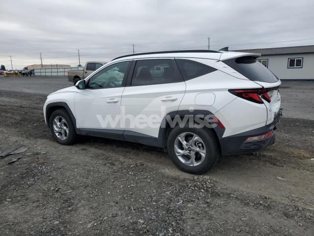 Photo 5 of 2024 HYUNDAI TUCSON SEL (VIN 5NMJBCDE6RH398155)
