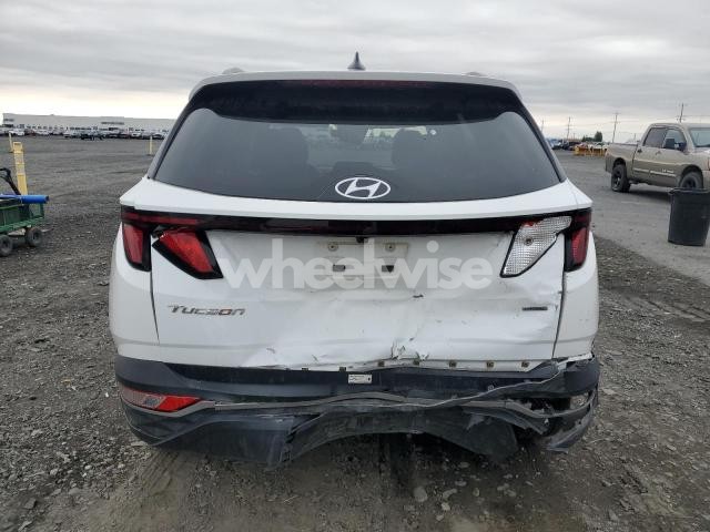 Photo 8 of 2024 HYUNDAI TUCSON SEL (VIN 5NMJBCDE6RH398155)