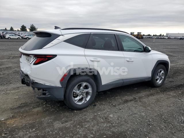 Photo 9 of 2024 HYUNDAI TUCSON SEL (VIN 5NMJBCDE6RH398155)