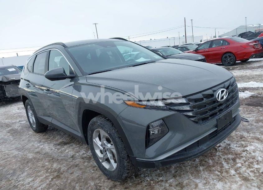 2024 Hyundai Tucson SEL (VIN 5NMJBCDE6RH399371) main photo