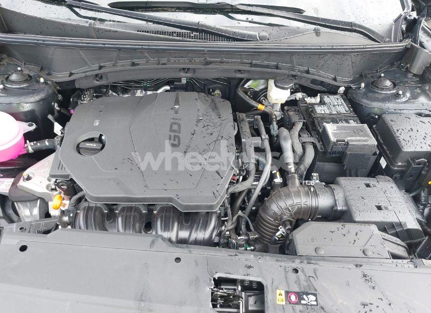 Photo 10 of 2024 Hyundai Tucson SEL (VIN 5NMJBCDE6RH420526)