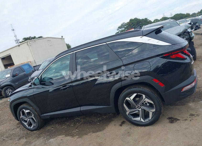 Photo 14 of 2024 Hyundai Tucson SEL (VIN 5NMJBCDE6RH420526)