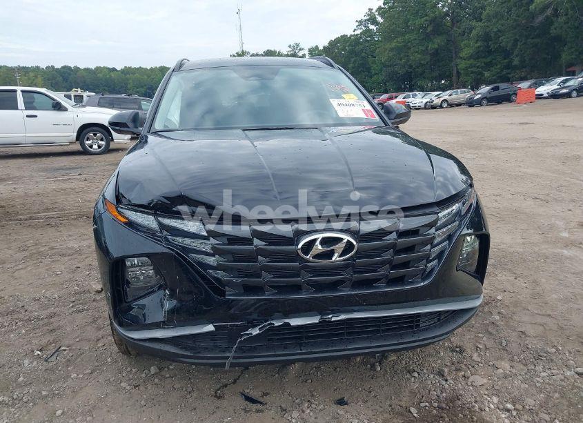 Photo 17 of 2024 Hyundai Tucson SEL (VIN 5NMJBCDE6RH420526)