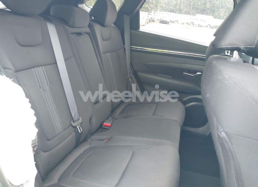 Photo 8 of 2024 Hyundai Tucson SEL (VIN 5NMJBCDE6RH420526)