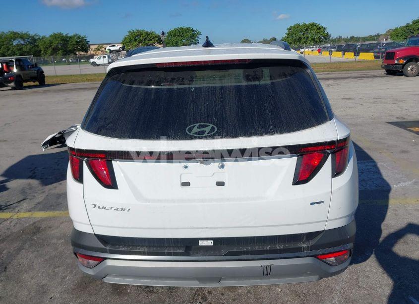 Photo 17 of 2025 Hyundai Tucson SEL (VIN 5NMJBCDE6SH464127)