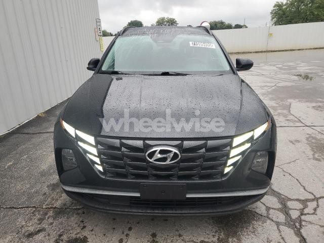 Photo 11 of 2024 HYUNDAI TUCSON SEL (VIN 5NMJBCDE7RH330169)