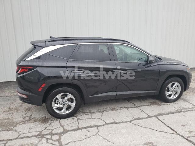 Photo 13 of 2024 HYUNDAI TUCSON SEL (VIN 5NMJBCDE7RH330169)