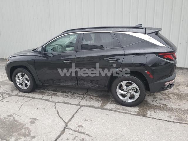 Photo 4 of 2024 HYUNDAI TUCSON SEL (VIN 5NMJBCDE7RH330169)