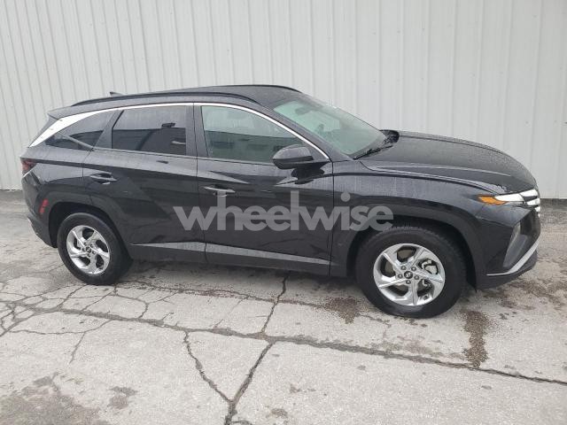 Photo 6 of 2024 HYUNDAI TUCSON SEL (VIN 5NMJBCDE7RH330169)