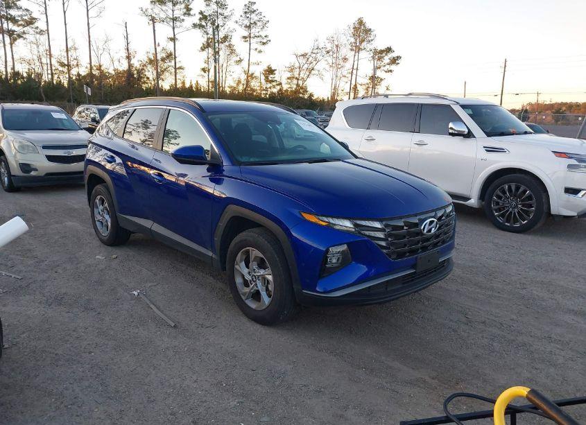 2024 Hyundai Tucson SEL (VIN 5NMJBCDE7RH350423) main photo