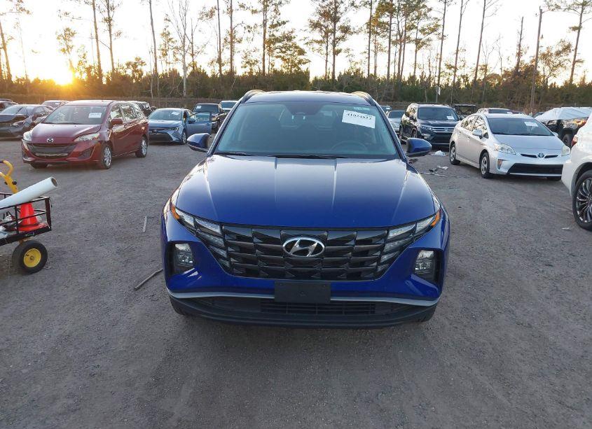 Photo 12 of 2024 Hyundai Tucson SEL (VIN 5NMJBCDE7RH350423)