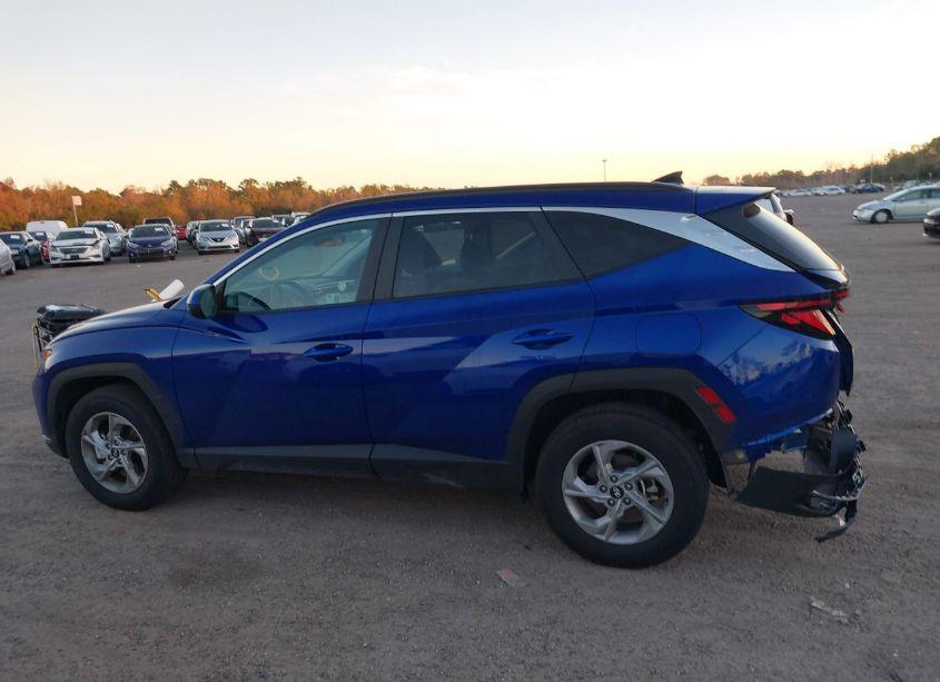 Photo 14 of 2024 Hyundai Tucson SEL (VIN 5NMJBCDE7RH350423)