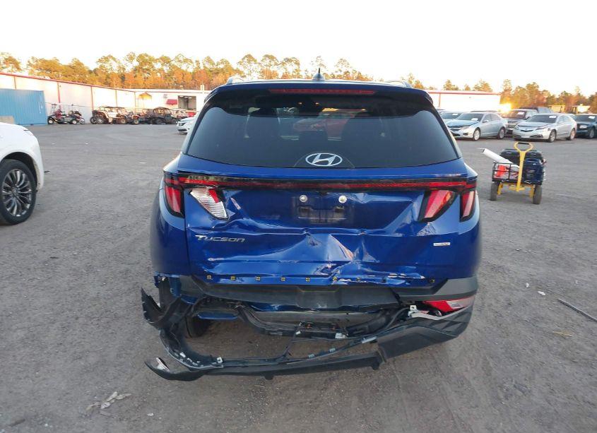 Photo 16 of 2024 Hyundai Tucson SEL (VIN 5NMJBCDE7RH350423)