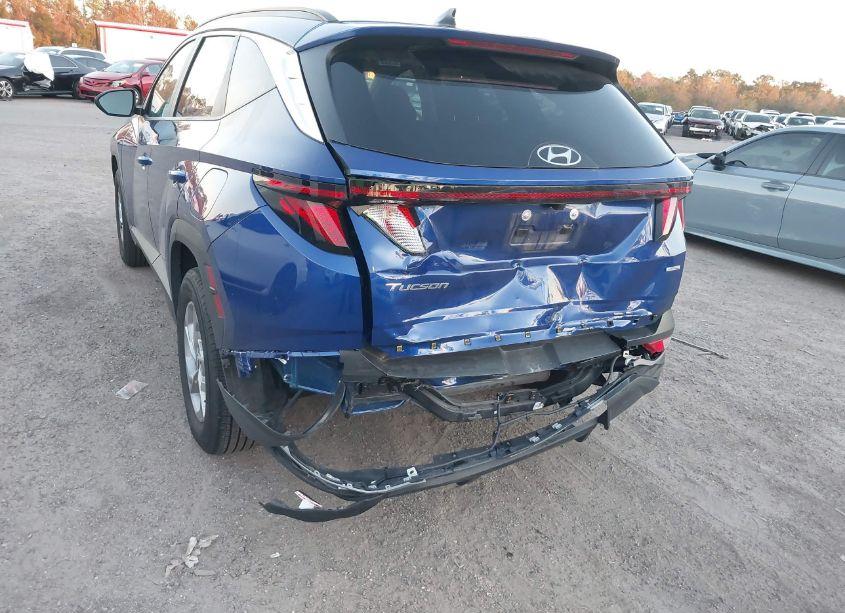 Photo 6 of 2024 Hyundai Tucson SEL (VIN 5NMJBCDE7RH350423)