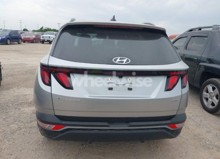 Photo 16 of 2024 Hyundai Tucson SEL (VIN 5NMJBCDE8RH305362)