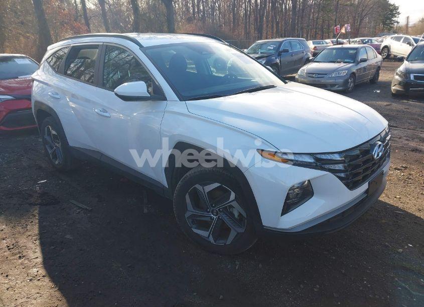 2024 Hyundai Tucson SEL (VIN 5NMJBCDE8RH425503) main photo