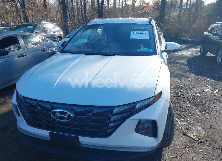 Photo 12 of 2024 Hyundai Tucson SEL (VIN 5NMJBCDE8RH425503)