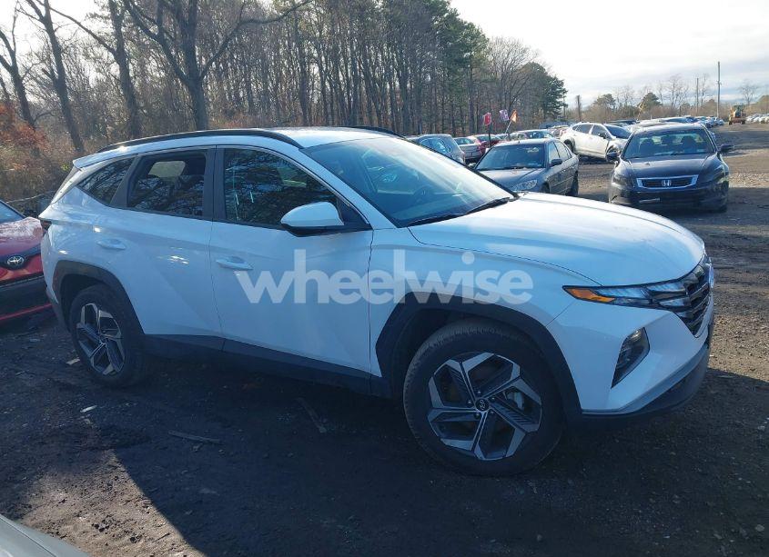 Photo 13 of 2024 Hyundai Tucson SEL (VIN 5NMJBCDE8RH425503)
