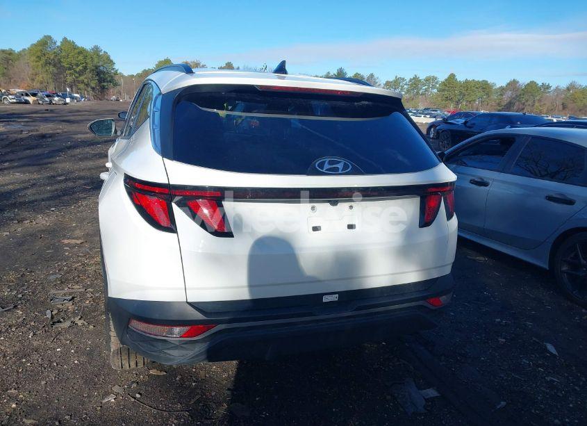 Photo 16 of 2024 Hyundai Tucson SEL (VIN 5NMJBCDE8RH425503)