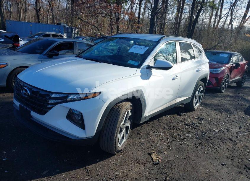 Photo 2 of 2024 Hyundai Tucson SEL (VIN 5NMJBCDE8RH425503)