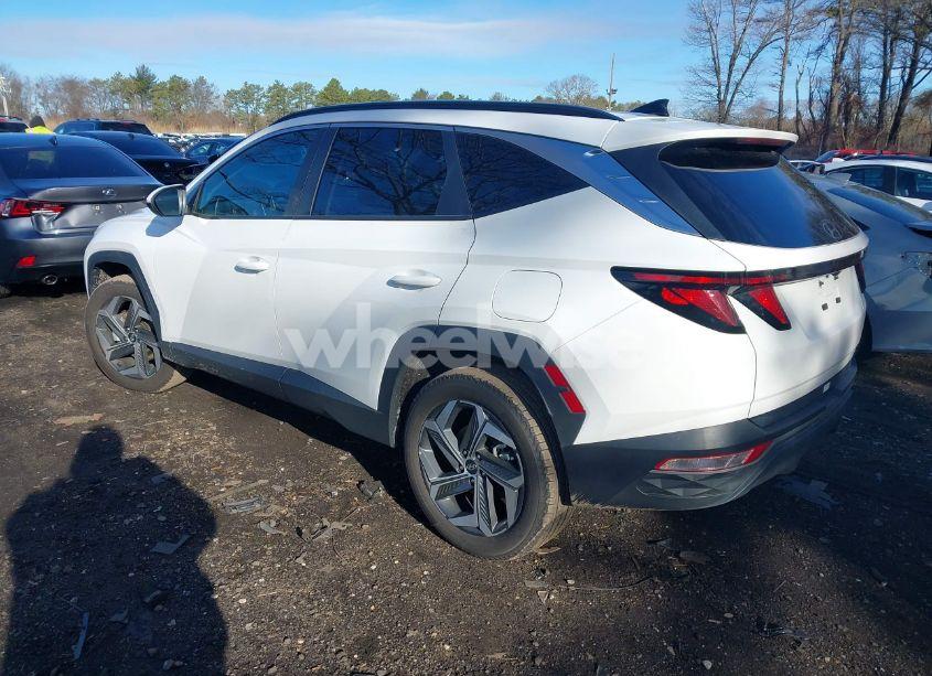 Photo 3 of 2024 Hyundai Tucson SEL (VIN 5NMJBCDE8RH425503)