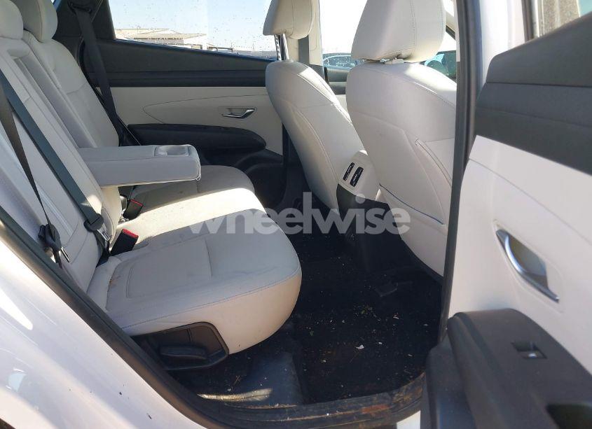 Photo 8 of 2025 Hyundai Tucson SEL (VIN 5NMJBCDE8SH466882)