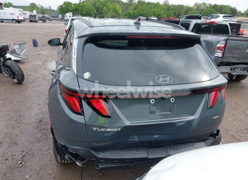 Photo 16 of 2025 Hyundai Tucson SEL (VIN 5NMJBCDE8SH522948)