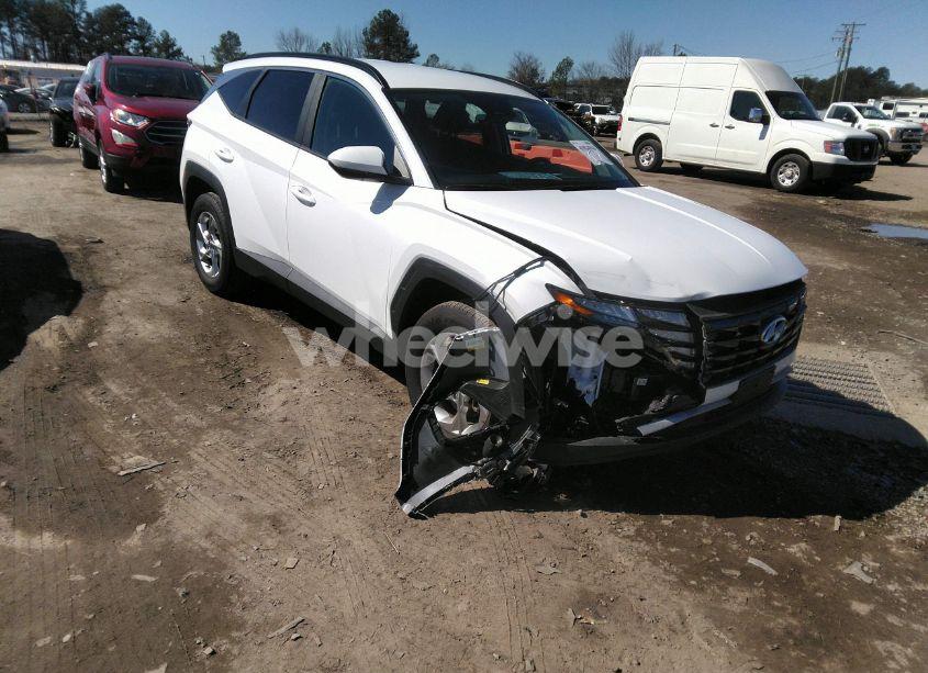 2024 Hyundai Tucson SEL (VIN 5NMJBCDE9RH301501) main photo