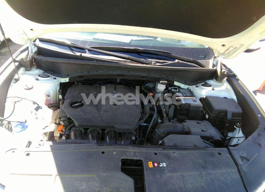 Photo 10 of 2024 Hyundai Tucson SEL (VIN 5NMJBCDE9RH301501)