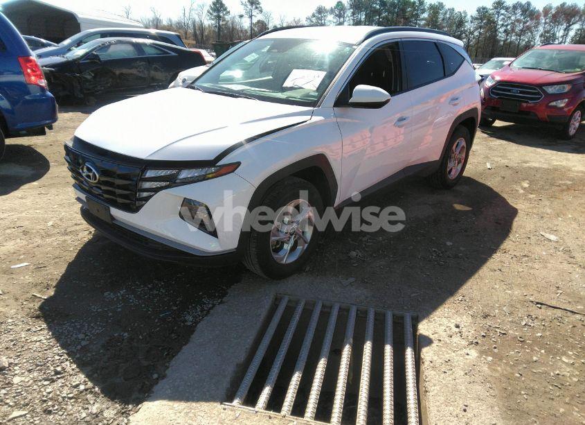 Photo 2 of 2024 Hyundai Tucson SEL (VIN 5NMJBCDE9RH301501)