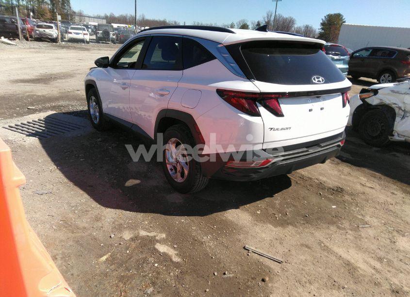 Photo 3 of 2024 Hyundai Tucson SEL (VIN 5NMJBCDE9RH301501)