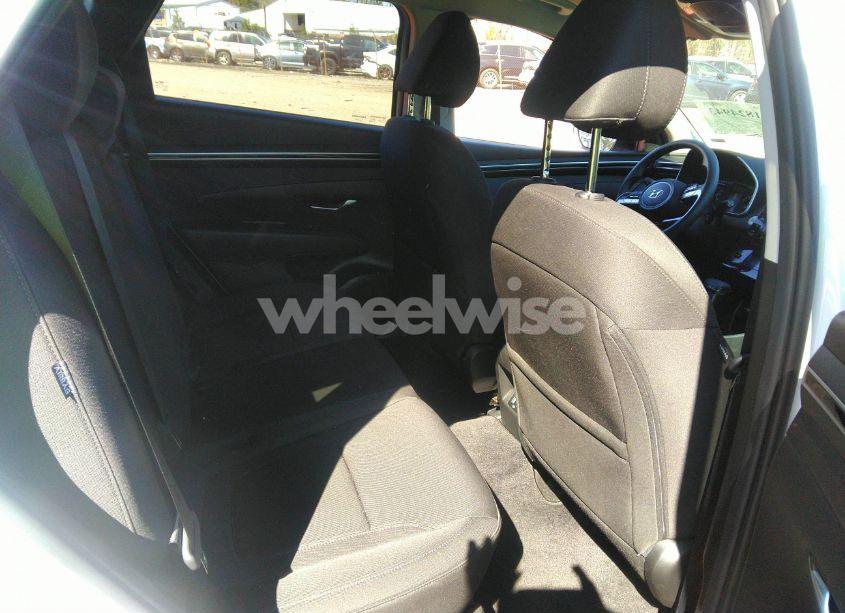 Photo 8 of 2024 Hyundai Tucson SEL (VIN 5NMJBCDE9RH301501)