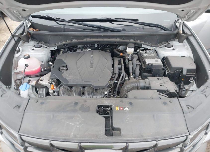 Photo 10 of 2024 Hyundai Tucson SEL (VIN 5NMJBCDE9RH305872)
