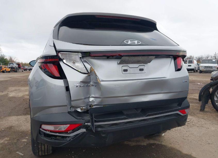 Photo 6 of 2024 Hyundai Tucson SEL (VIN 5NMJBCDE9RH305872)