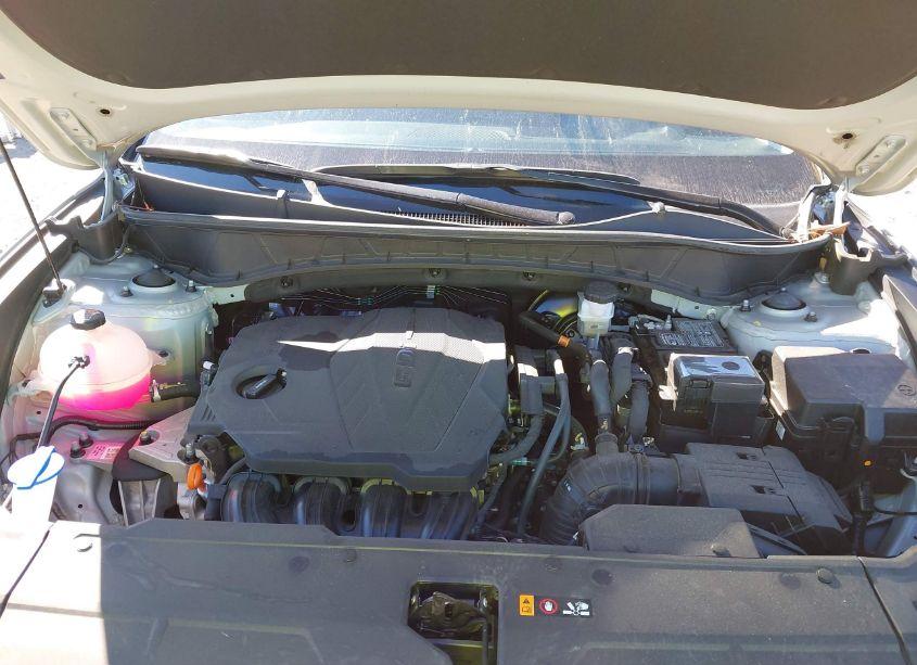 Photo 10 of 2024 Hyundai Tucson SEL (VIN 5NMJBCDE9RH343487)