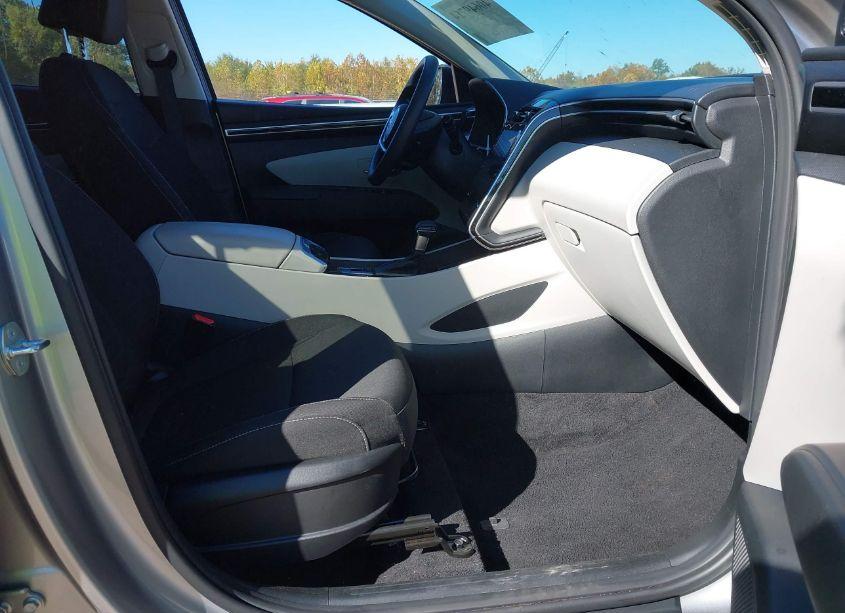 Photo 5 of 2024 Hyundai Tucson SEL (VIN 5NMJBCDE9RH343487)