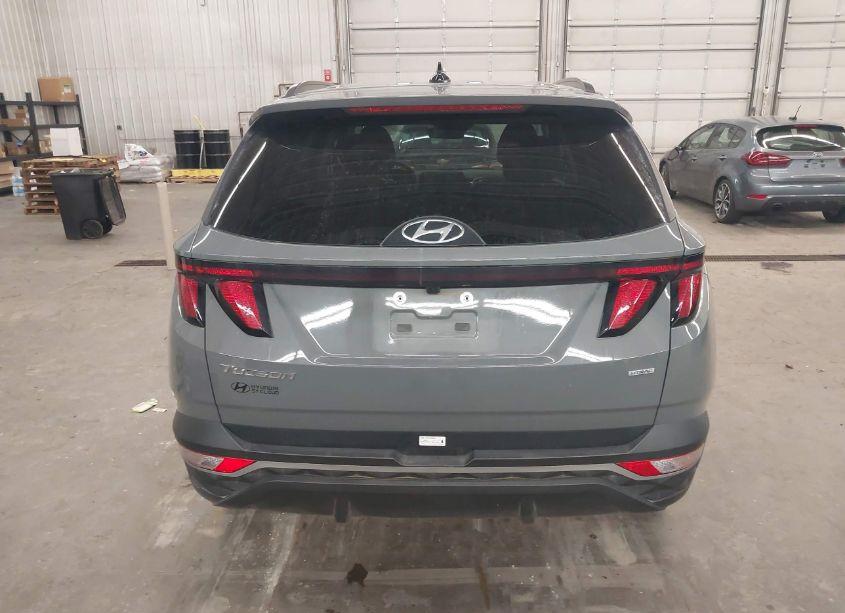 Photo 17 of 2024 Hyundai Tucson SEL (VIN 5NMJBCDE9RH392611)