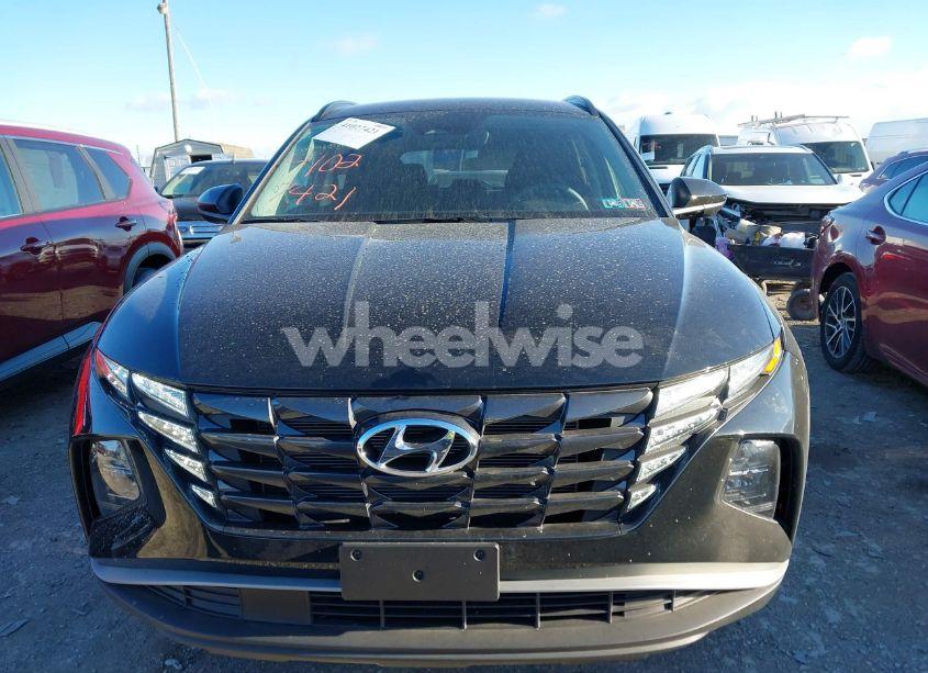 Photo 12 of 2024 Hyundai Tucson SEL (VIN 5NMJBCDE9RH419791)